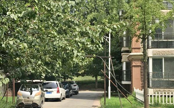 房山区 汇丰街4号院10号6层3单元602（世界名园）