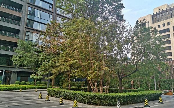 东城区 建国门内大街甲11号22层3单元3-2601号（长安太和）