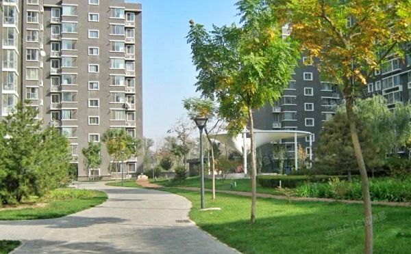 朝阳区 望京东园614号楼13层1304号（国风北京）