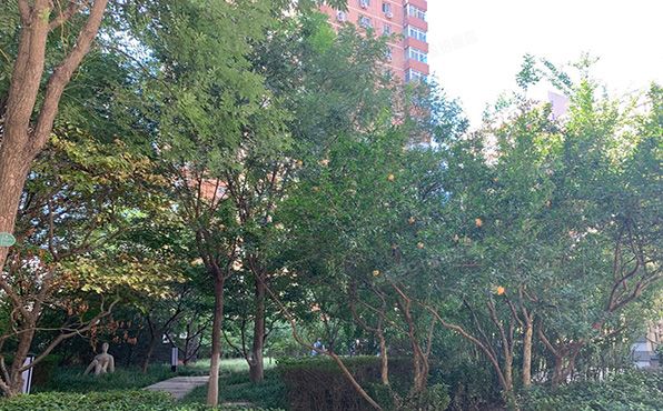 朝阳区 金汇路7号楼10层1101号（中骏世界城）公寓