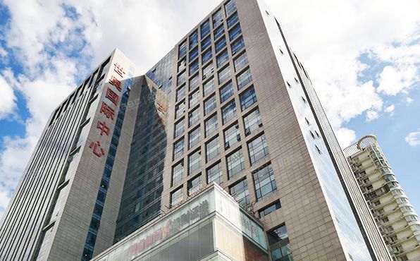 朝阳区 芍药居北里101号1幢25层2座2901（世奥国际中心）办公