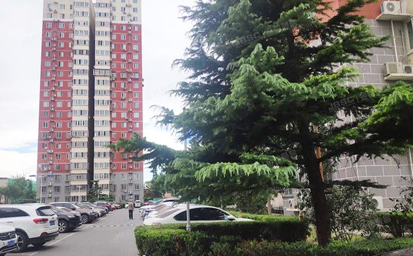 丰台区 程庄南里10号楼1层101