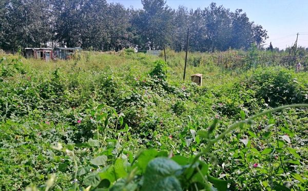 大兴区 瀛海镇南宫村工业用地土地使用权