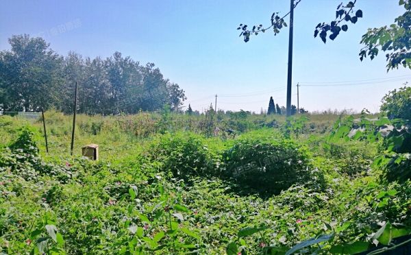 大兴区 瀛海镇南宫村工业用地土地使用权