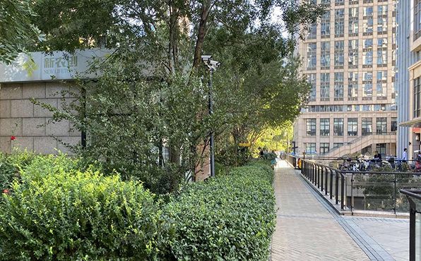 经济技术开发区 文化园西路8号院24号楼5层603（林肯公园C区）办公