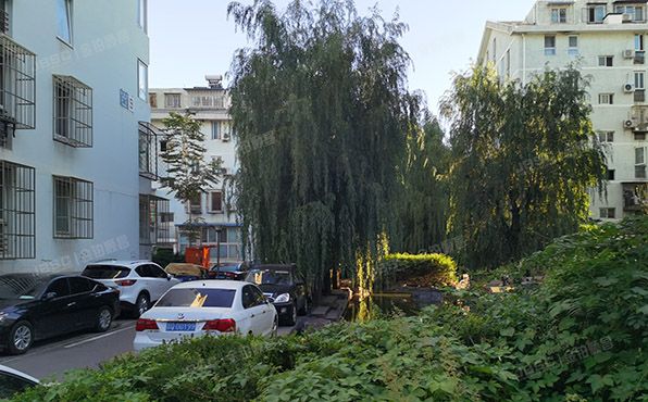 东城区 金鱼池中区8号楼3单元601号