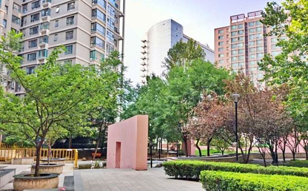 海淀区 苏州街12号12-5号楼1001号（西屋国际公寓）