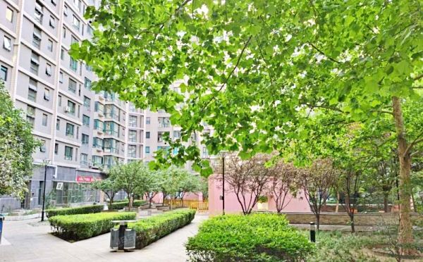 海淀区 苏州街12号12-5号楼1004号（西屋国际公寓）