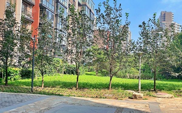 丰台区 贾家花园3号院19号楼18层1807号（建邦华府）