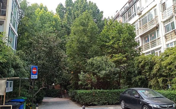 丰台区 镇国寺北街6号院4号楼1层2单元102（星河城夏季星空）