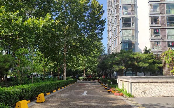 朝阳区 北苑路86号嘉铭桐城F区304号楼703