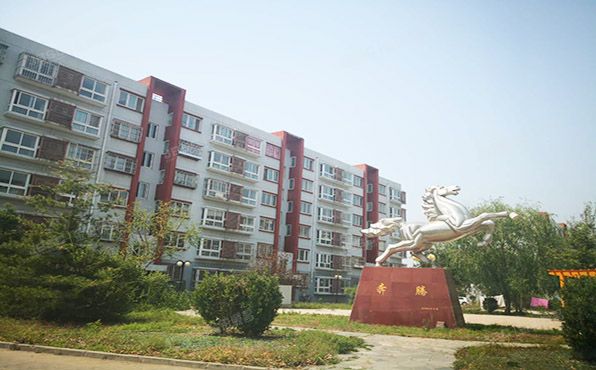 通州区 漷县镇漷兴北大街46号院1号楼6单元601室（万驰家园）