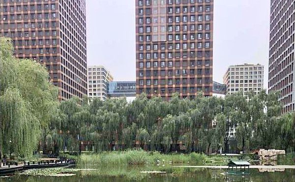 东城区 香河园街1号8号楼7层802（万国城MOMA）