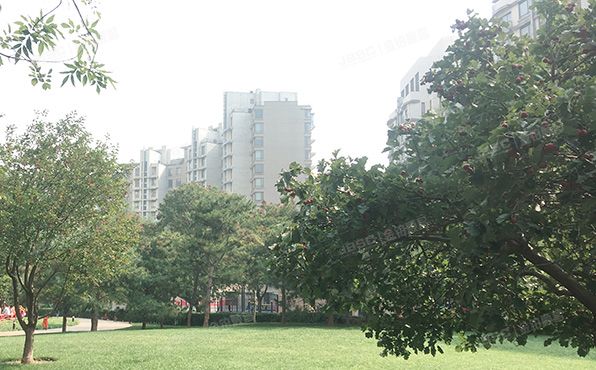 朝阳区 朝阳公园6号4幢13至14层4-1-13A房产+车位（公园大道）