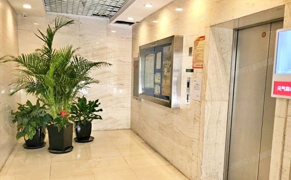 东城区 东直门外小街甲2号5层B座509（正东国际）公寓