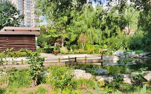 朝阳区 太阳宫火星园7号楼15层1单元1154号