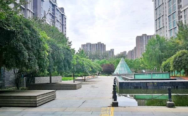 朝阳区 西大望路63号院6号楼8层1单元901（东方雅苑）