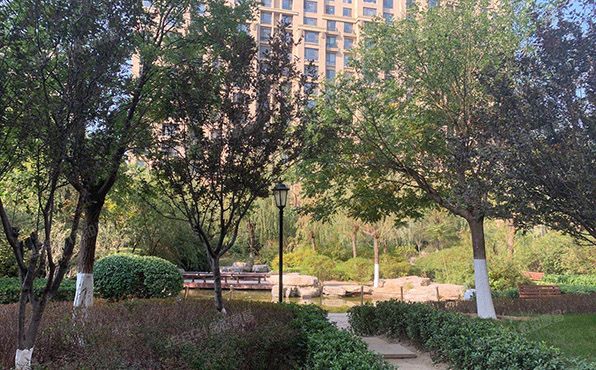 通州区 玉桥西里96号楼1层1单元101号（远洋东方公馆）