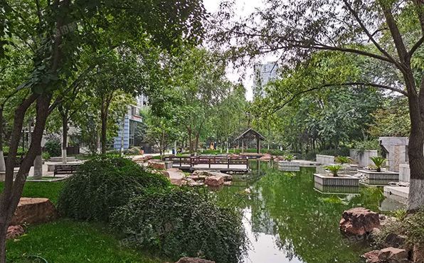 朝阳区 天力街11号楼10至11层1103（富力城B区）