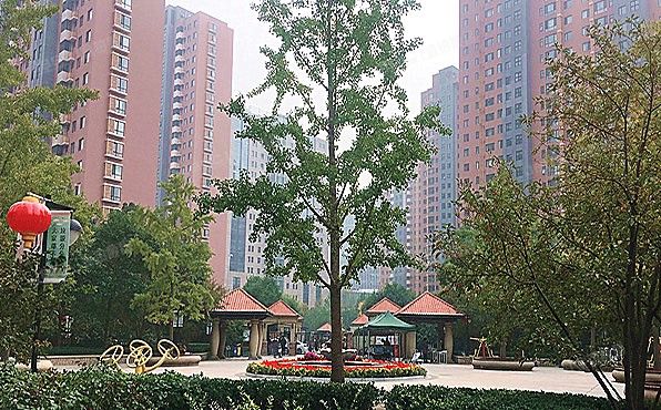 朝阳区 太阳宫南街15号院1号楼9层1单元1093号（丰和园）