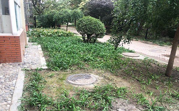 大兴区 福星花园11楼1单元102号