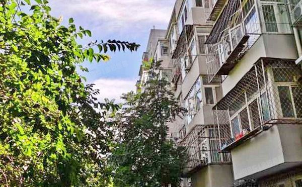 朝阳区 安贞西里四区9号楼2层3单元201号