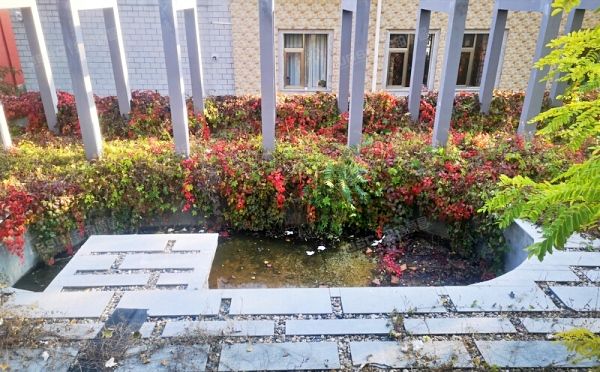 延庆区-张山营镇 龙聚山庄龙聚西北区16号1至2层 别墅