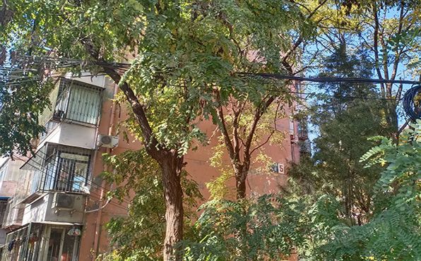 丰台区 南苑北里一区5号楼6层1单元161号