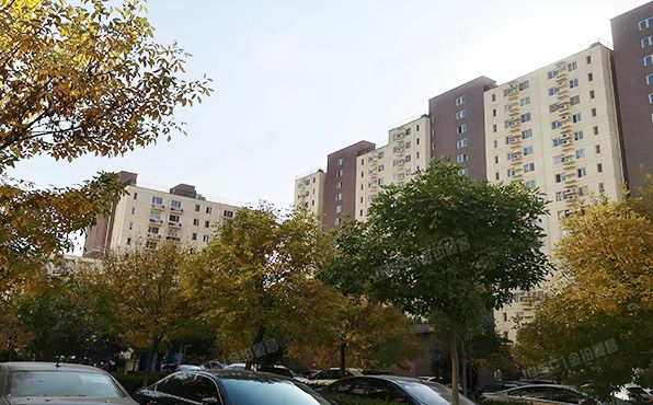 大兴区 圣和巷9号院1号楼21层4单元2103（康宜家园北区）经适房