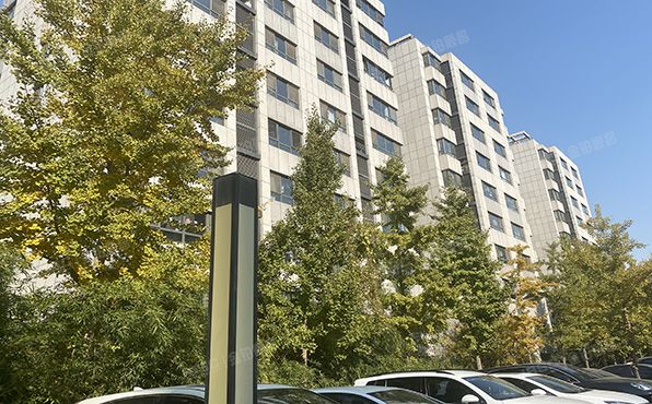 大兴区 德贤路239号院1号楼10层1003（润枫锦尚）