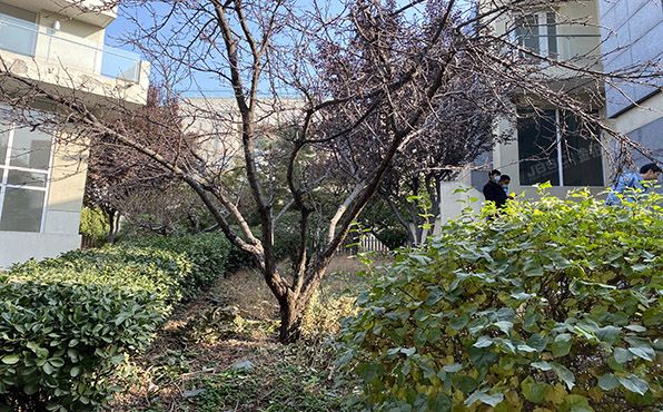 顺义区 澳景园一区21号楼-1至3层