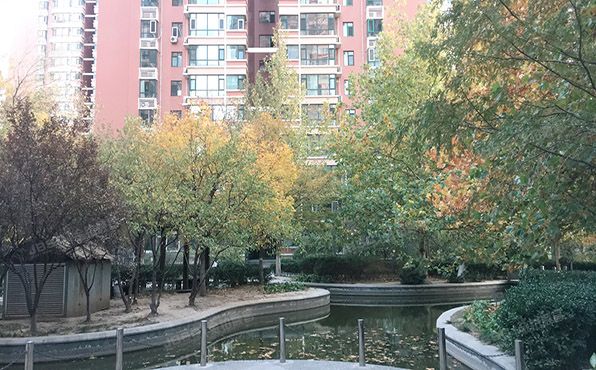 朝阳区 六里屯6号楼22层2203（丽水嘉园）