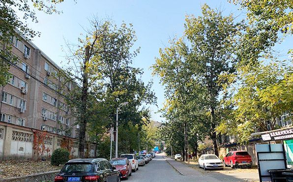 海淀区   环山村621所生活区四区56号楼4门10号（环山村小区）