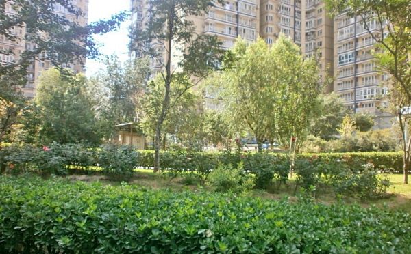 丰台区 丰体南路1号院3号楼20层2009号（丰体时代花园）经适房