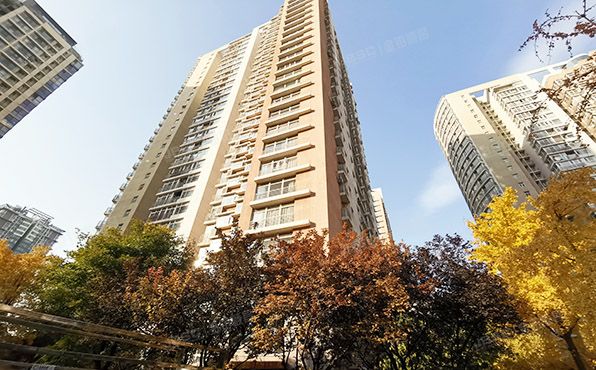 朝阳区 八里庄西里71号楼1903（远洋天地）