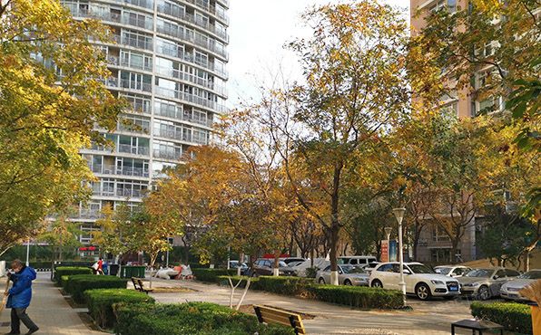 朝阳区 八里庄西里71号楼1903（远洋天地）