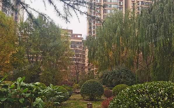 朝阳区 慈云寺1号院5号楼3层1单元302室（东区国际公寓）