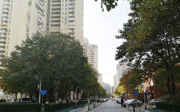 朝阳区 望京西园甲410号楼17层1705（望京西园四区）