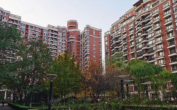 西城区 清芷园5号楼5层A座501（清芷园）