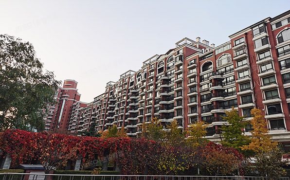 西城区 清芷园5号楼5层A座501（清芷园）