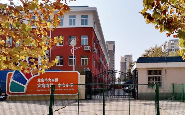 大兴区 育林街2号院3号楼10层4单元1001（育新花园中里）