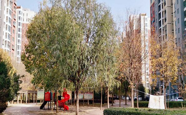 大兴区 育林街2号院3号楼10层4单元1001（育新花园中里）