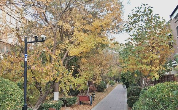 海淀区 建材城翡丽华庭7号楼1至2层1单元102室+3间地下室（金隅翡丽）