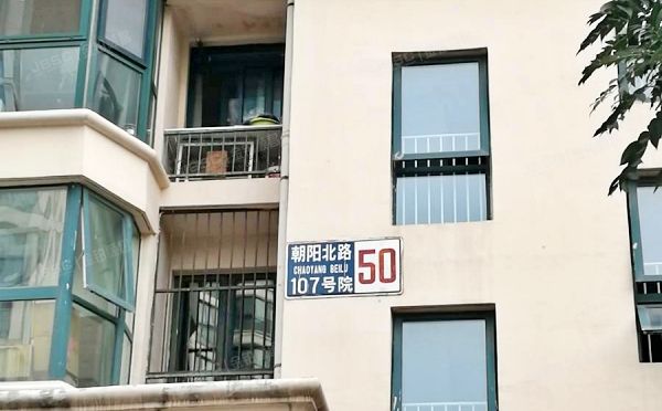 朝阳区 朝阳北路107号院50号楼15层1506（珠江罗马嘉园东区）