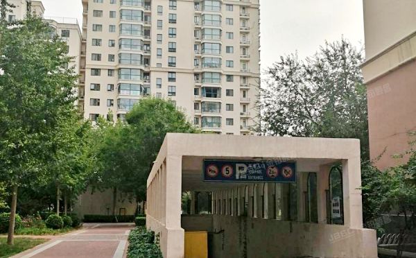 朝阳区 朝阳北路107号院50号楼15层1506（珠江罗马嘉园东区）