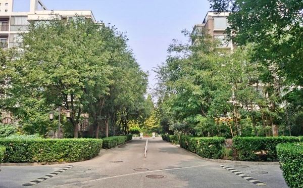 丰台区 美域家园南区20号楼5层1单元401（美域家园南区）