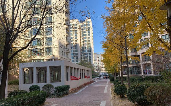 朝阳区 朝阳北路107号院50号楼15层1506（珠江罗马嘉园东区）