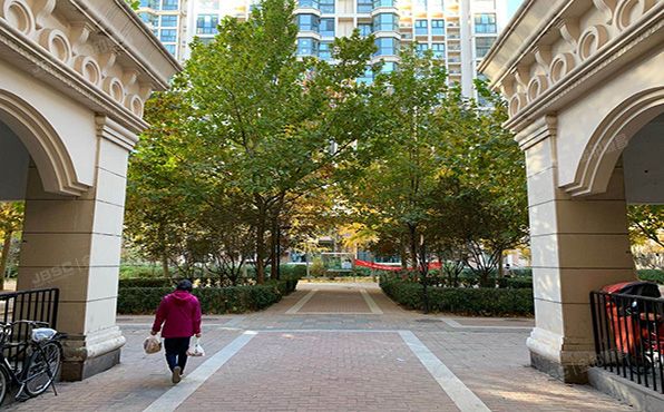 朝阳区 朝阳北路107号院50号楼15层1506（珠江罗马嘉园东区）