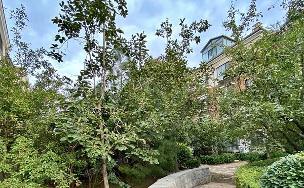 大兴区 开泰东里2号楼4层4单元401号（金色漫香林）