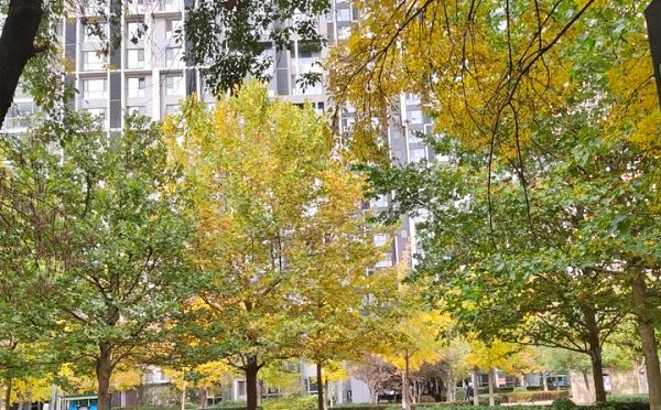 朝阳区 广达路2号院10号楼22层1单元2206号（北纬40度）